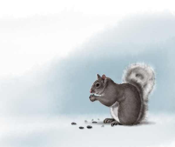 Squirrel